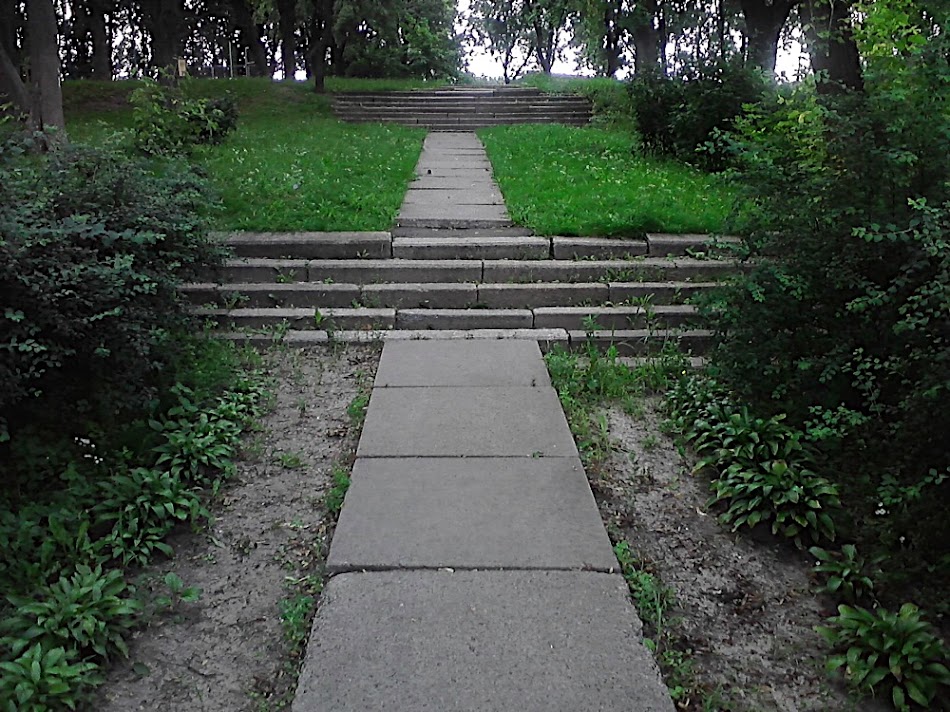 P300711_11.51.jpg