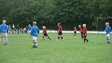 2011 - 10 JUN - WVV F4 TER APEL TOERNOOI 020.jpg