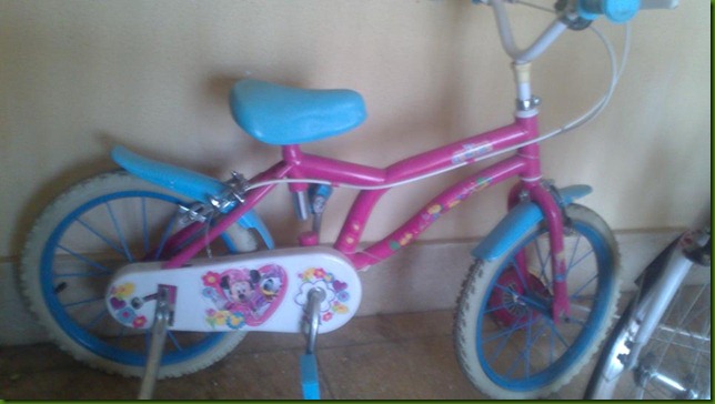 Bicicleta - Rocio