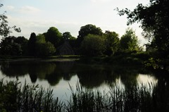 DSC_3184 DSC_3184