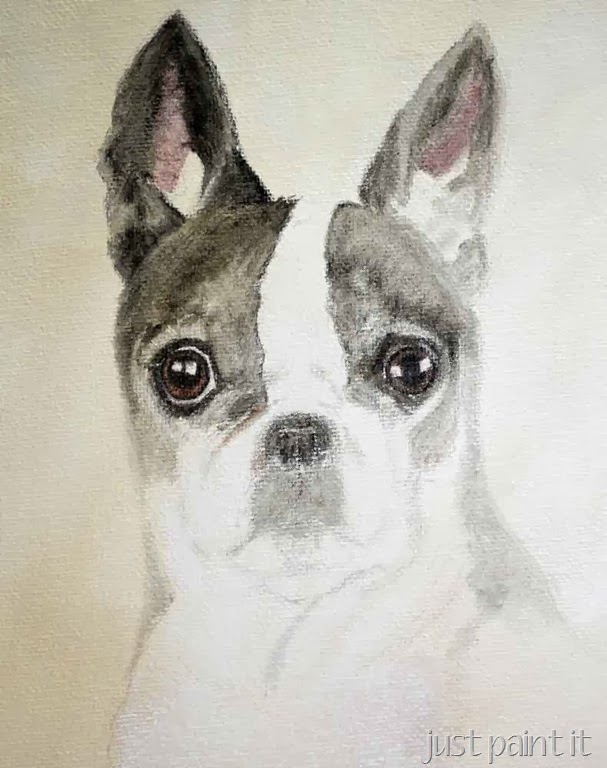 [boston-terrier-sketch-E%255B2%255D.jpg]