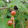 dsc01202.jpg
