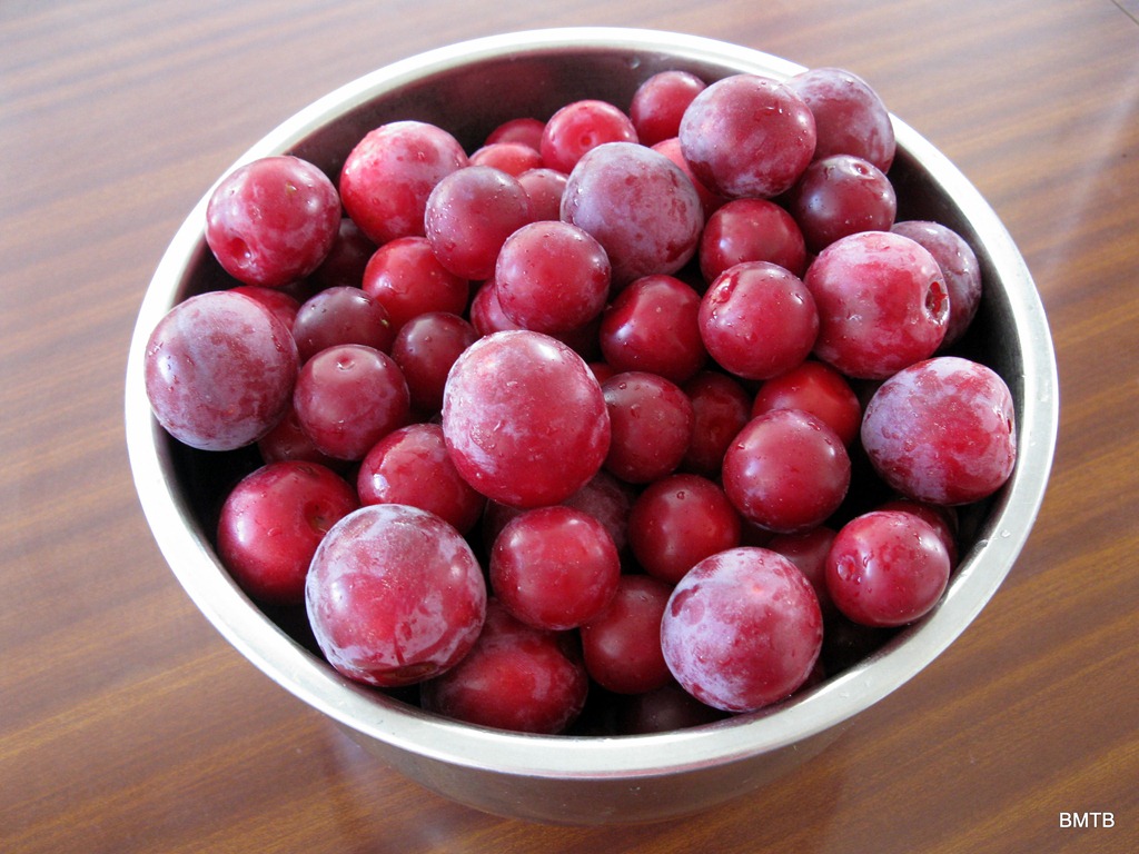 [Plums%255B5%255D.jpg]