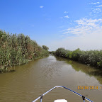 IMG_5730.JPG