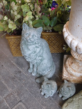 [garden_cats%255B4%255D.jpg]