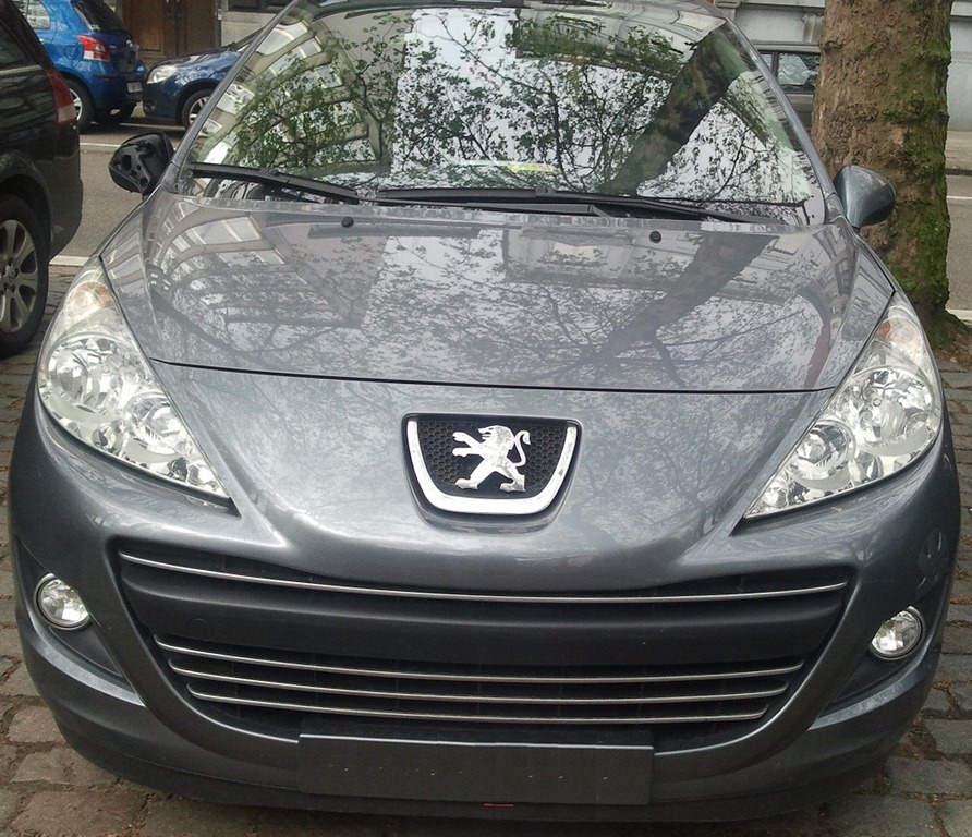 [Peugeot%2520207%2520front%255B14%255D.jpg]