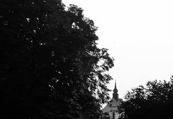 17.6.2013 2013-06-17.jpg