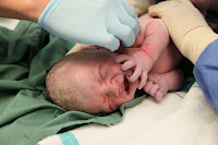 Fresh baby!