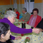 IMGP7265.jpg