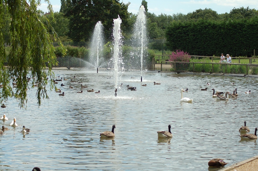 [Lower%2520Lake%2520and%2520fountains%255B3%255D.jpg]