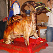 Inner-Mongolia-Roast-Sheep.JPG