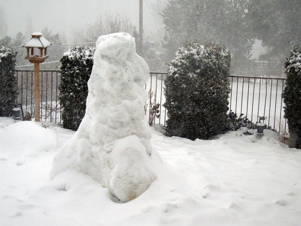 [DSCN5487%255B3%255D.jpg]