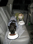 We decided to forget the revolving doors and ate our Thanksgiving meal in the car.  Martha packed us a really delicious meal.