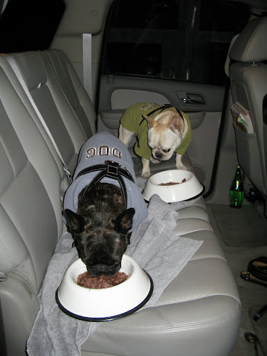 We decided to forget the revolving doors and ate our Thanksgiving meal in the car.  Martha packed us a really delicious meal.