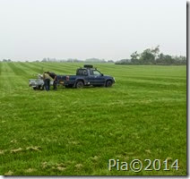20141003_122948a 20141003_122948a