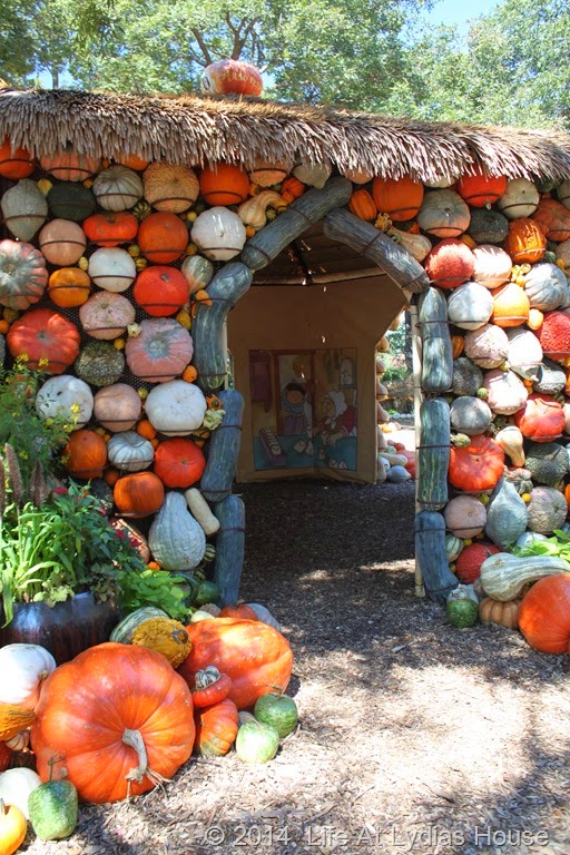[Dallas-Arboretum---pumpkin-festival-%255B87%255D.jpg]