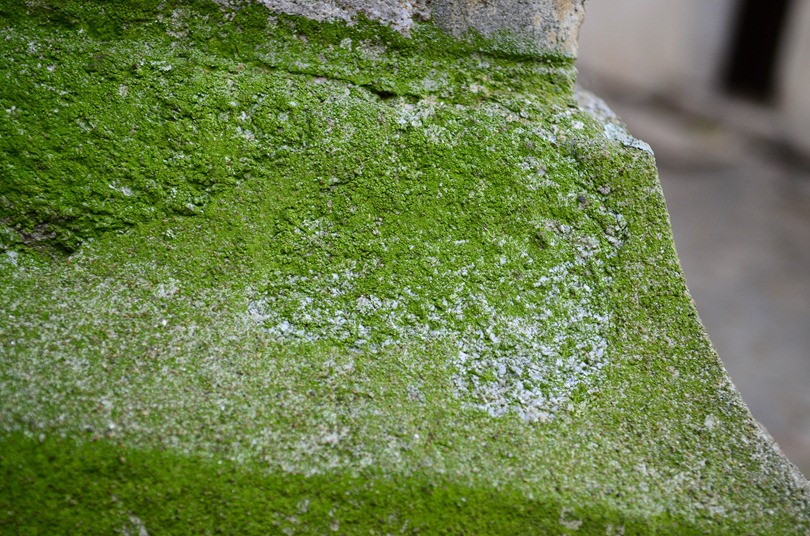 [CeskyKrumlov393.jpg]