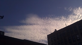 IMAG0254.jpg