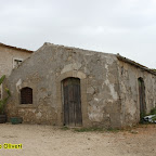 ex pistacchieto Monte Sara - foto di Domenico Oliveri