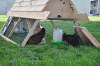  Chicken Gallery