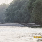 IMG_6487.JPG