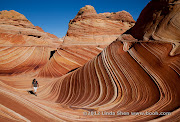 The Wave, Coyote Buttes, Arizona