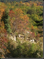 IMG_1230_1 IMG_1230_1