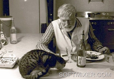 [Hemingway-and-Cat%5B8%5D.jpg]