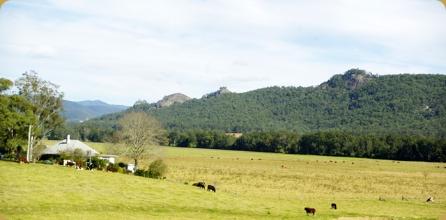 Farm on Gloucester/Dungog Rd. NSW