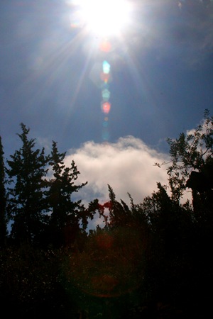 _MG_7411 _MG_7411