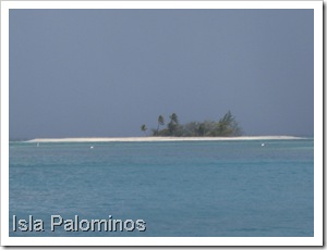 IMG_4377 IMG_4377