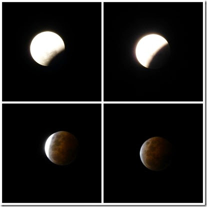 PicMonkey Collage - Lunar Eclipse October 14