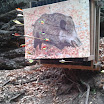 2013-03-31 14.09.27.jpg