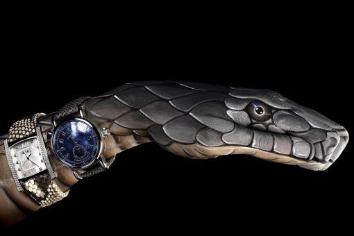 [SternCobra510x3404.jpg]