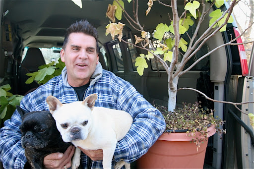 Jim, why don't you come and visit us at the farm next summer?  Maybe you can even eat some figs!