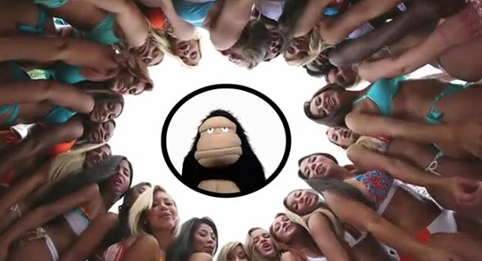 [gorilla-call-maybe-meh%255B3%255D.jpg]