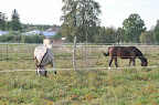 Agroturystyka Błękitny Domek w jaśle Slideshow