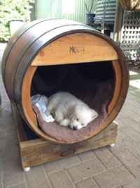 ワイン樽犬小屋