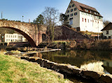 IMG_5977.JPG