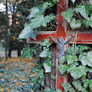 DSC_0266.jpg
