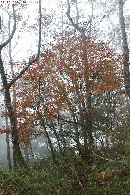 2013_1207_145809 2013_1207_145809