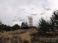 dsc05240.jpg