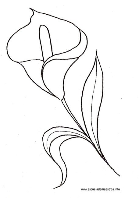 [primavera-flor-01%255B2%255D.jpg]