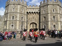 IMG_3445 IMG_3445