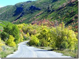 Deer Creek and Cascade Springs Heber 155