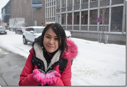 DSC_3135 DSC_3135