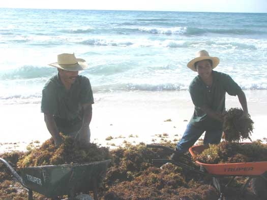 [BeachWork%255B16%255D.jpg]