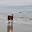DSC_0165.jpg