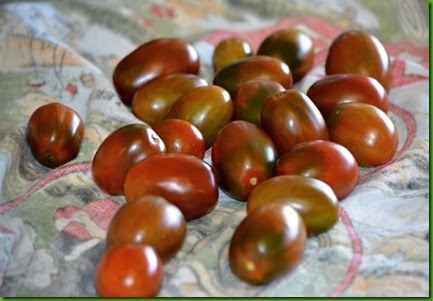 Tomate Black Plum Tomate Black Plum