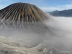 Bromo